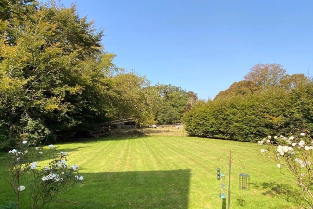 فيلا بيمينسترفي The Dower House At Parnham Park المظهر الخارجي الصورة